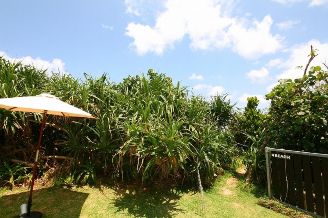 Casa Dumai Oceanvilla Nakijin Exterior foto